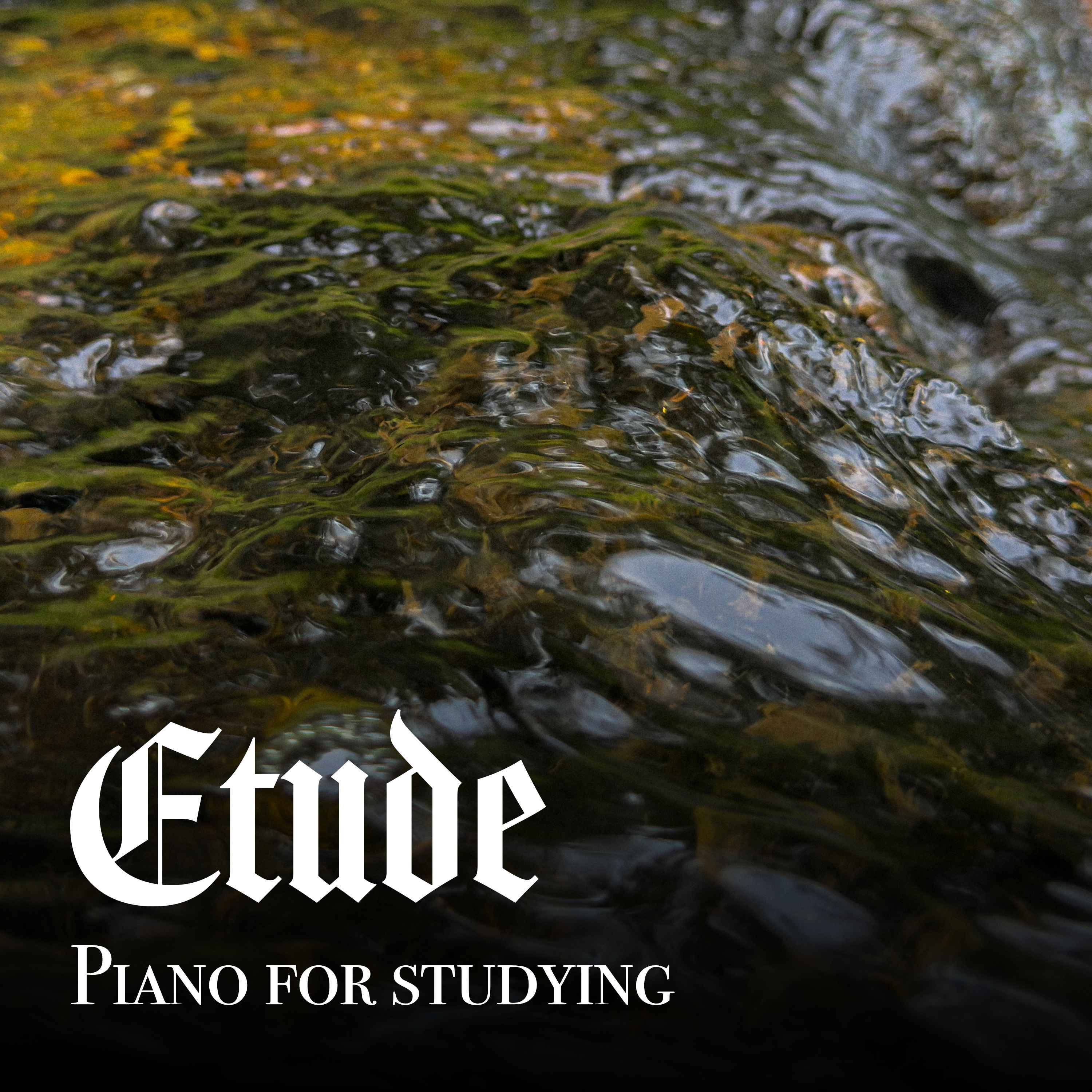 8 Hours of Piano for Studying with Stream Sounds - "Midnight Bloom"