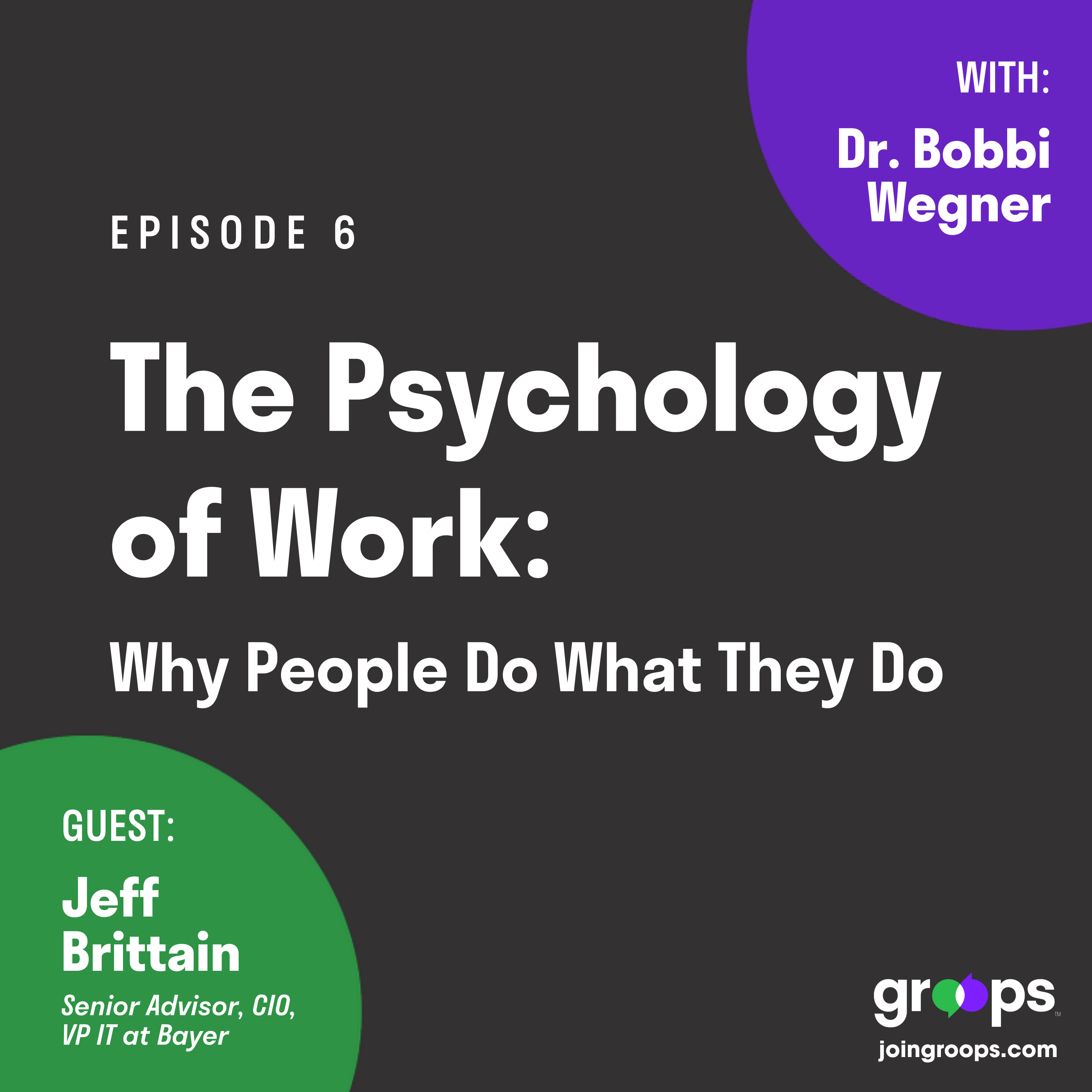 The Psychology of Work: Why People Do What They Do