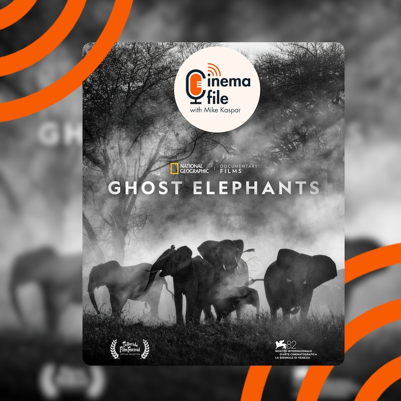 Artwork for podcast Cinemafile