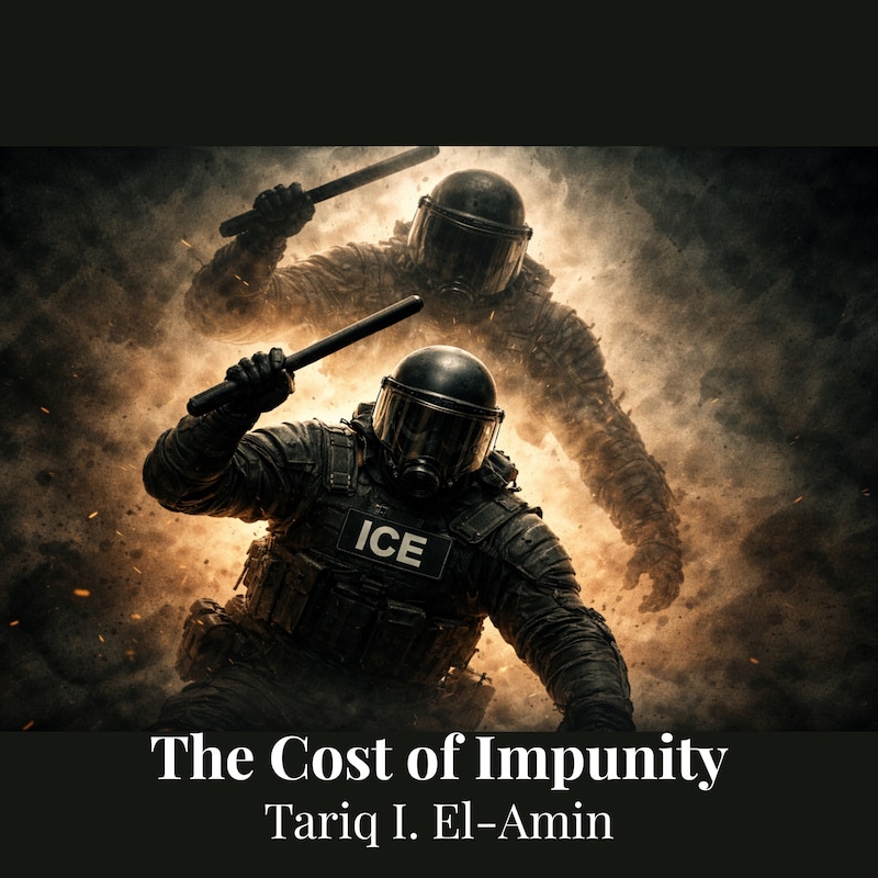 Artwork for podcast The American Muslim Podcast