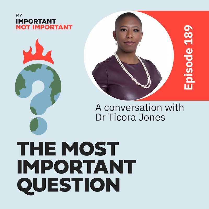 Artwork for podcast The Most Important Question
