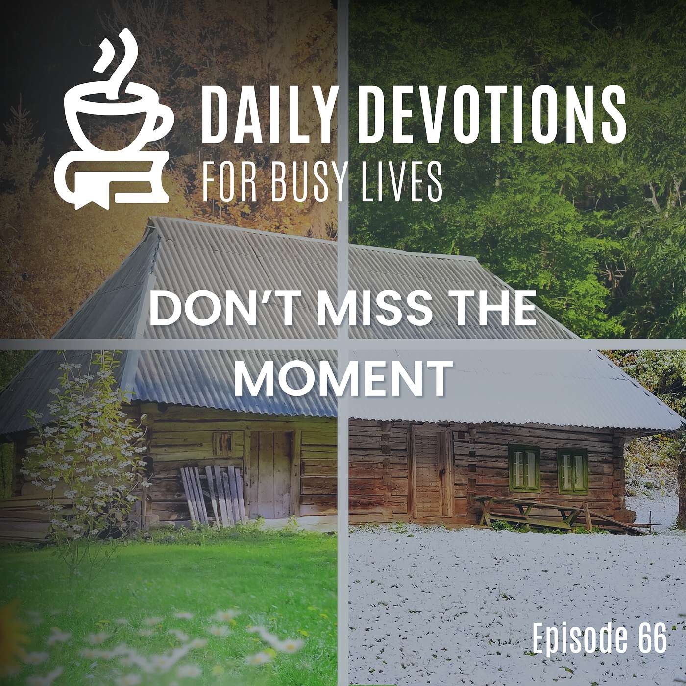 Don't Miss the Moment