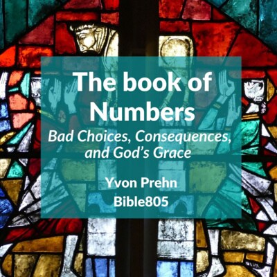 Artwork for podcast Bible805, Lessons and commentary to help you know, trust, apply, and teach the Bible