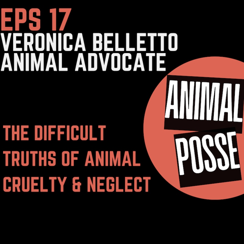 Artwork for podcast Animal Posse