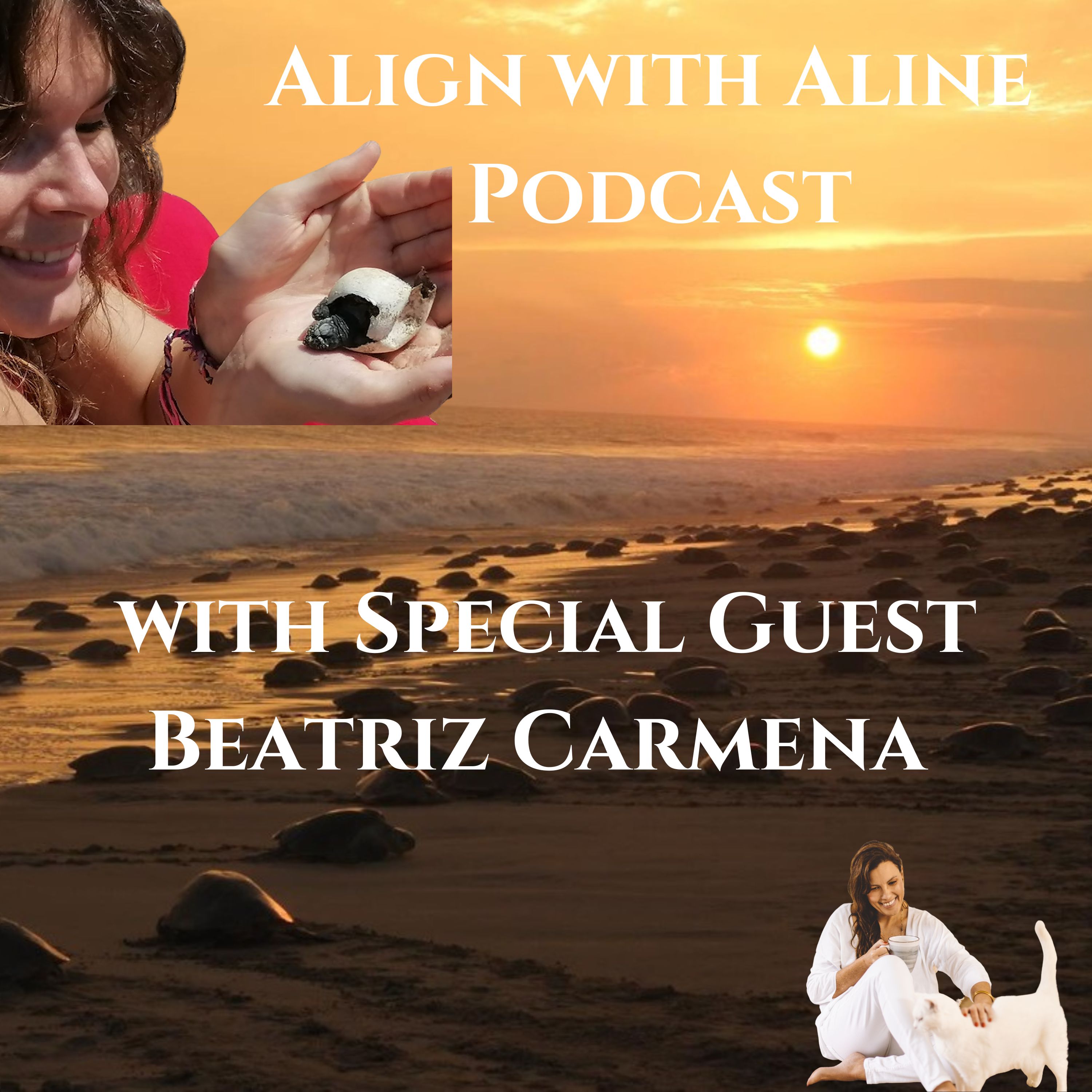 A Call from the Wild: Turtles, Trust & Following the Heart with Beatriz Carmena.
