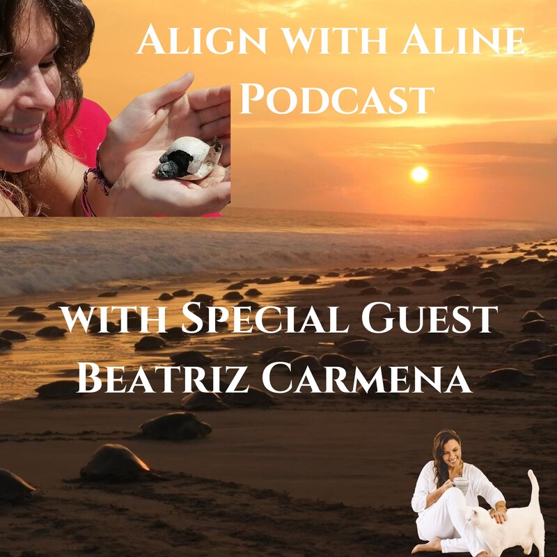 Artwork for podcast Accepting Your Sensitivity