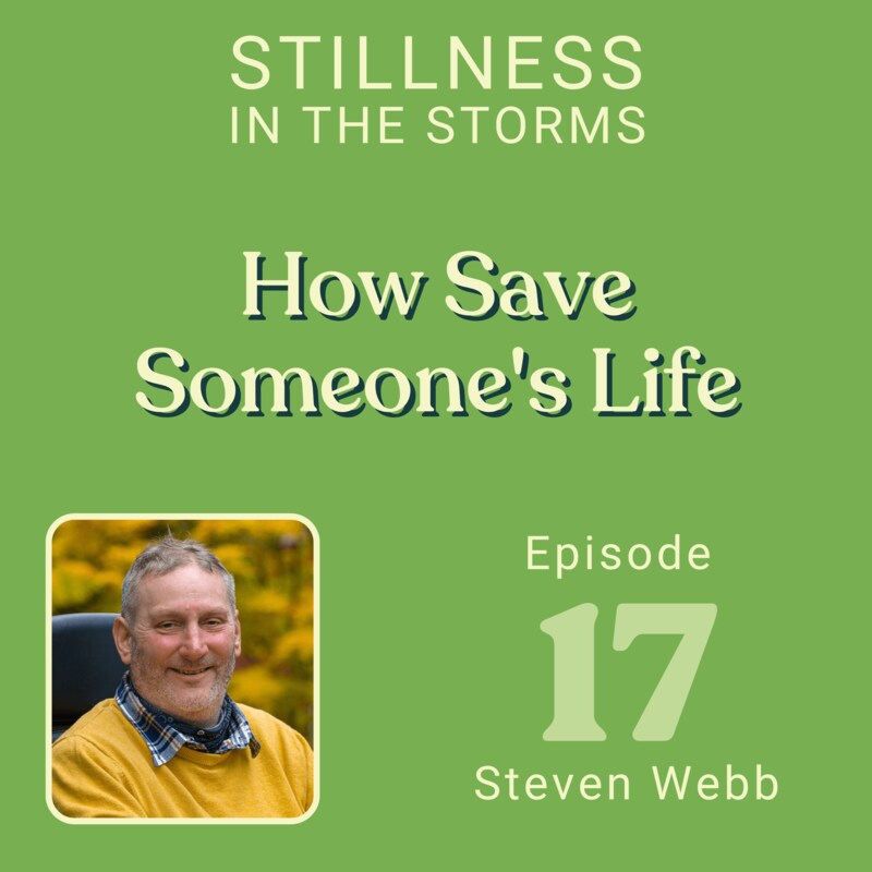 Artwork for podcast Stillness in the Storms