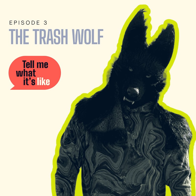 Artwork for podcast Tell Me What It's Like