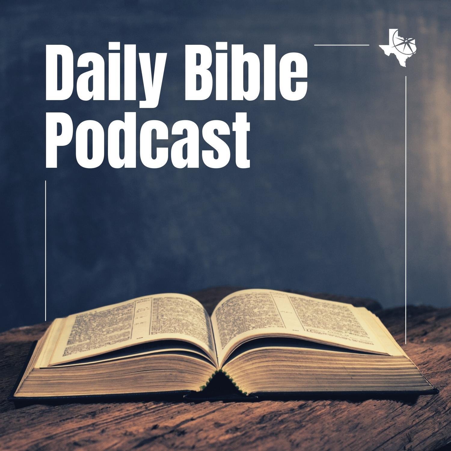 Artwork for podcast  Daily Bible Podcast