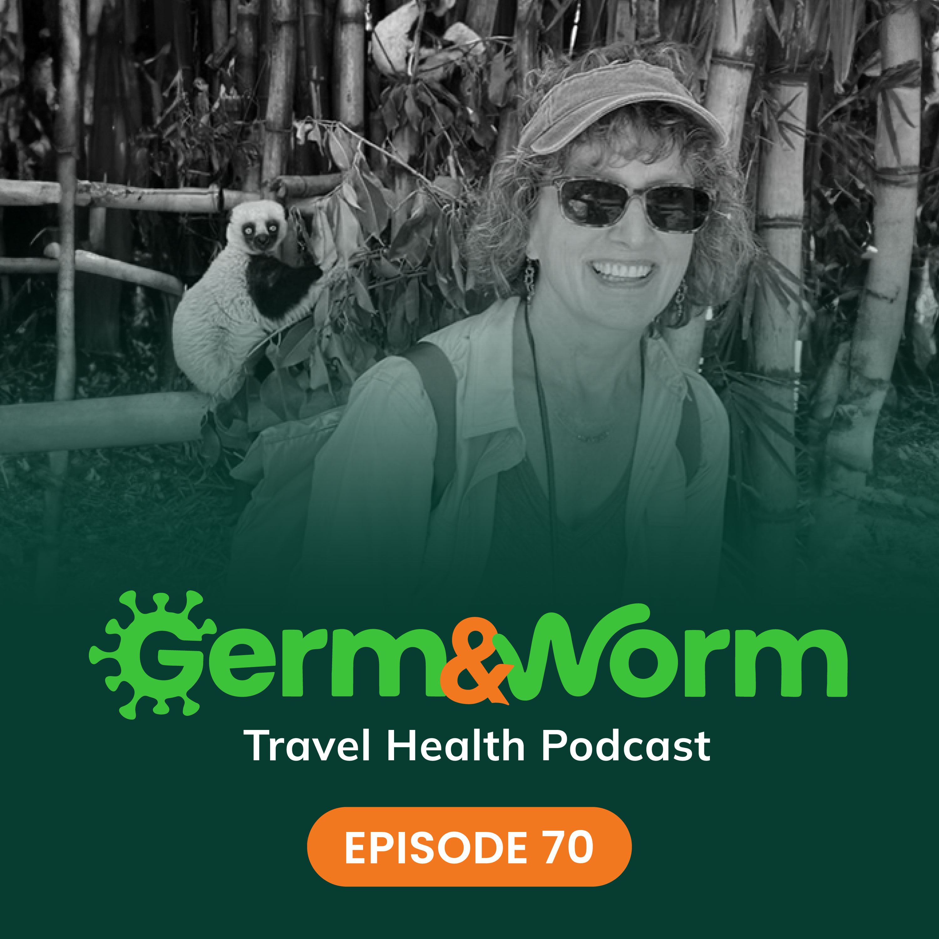70: Keeping Kiddos Healthy During Travel, with Pediatrician Sheila Mackell, MD episode artwork