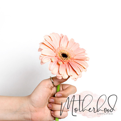 How to declutter your crafts so you can actually be crafty episode artwork