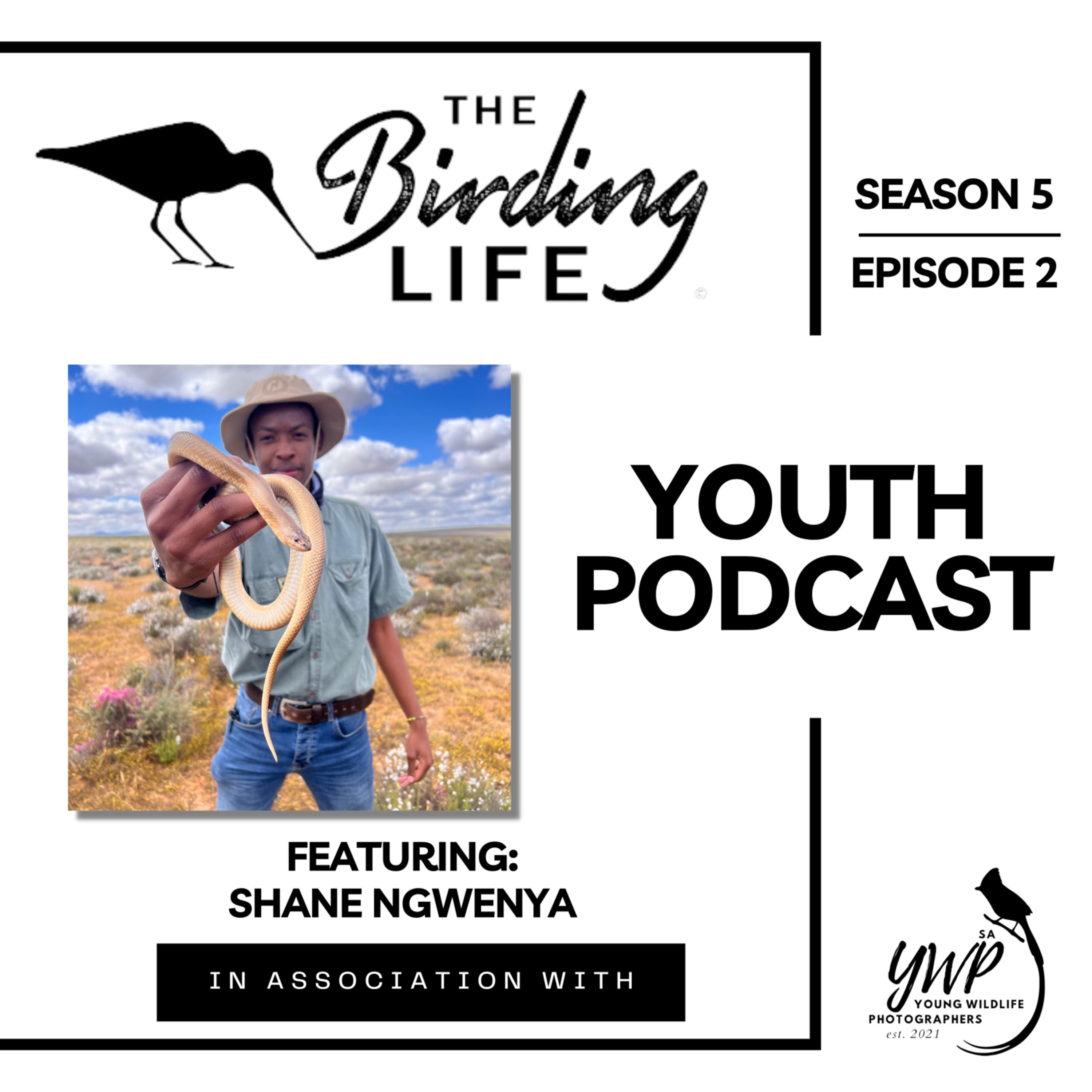 Season 5: Ep 2 | Shane Ngwenya