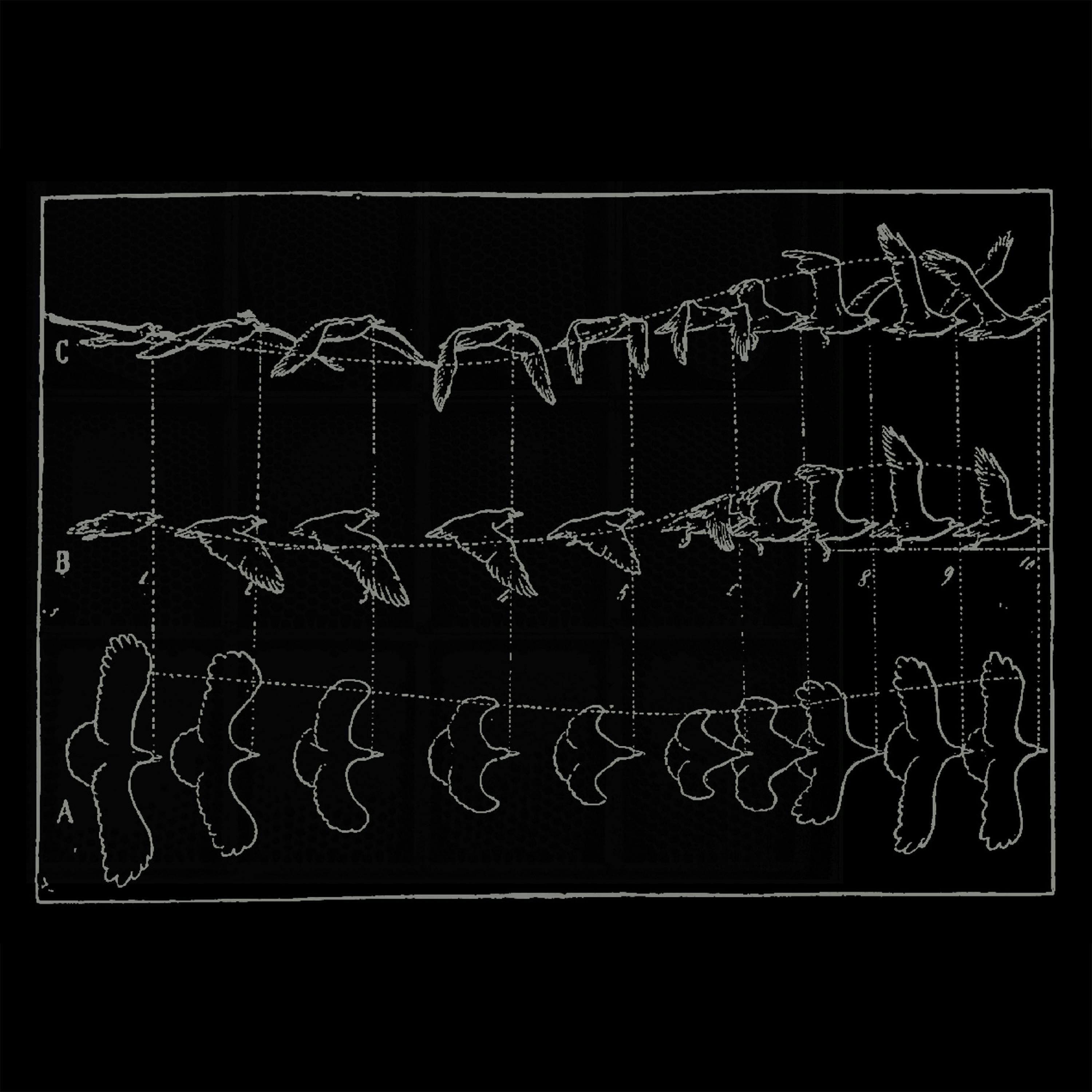 Time: A Conversation at London’s Architectural Association – with Marko Milovanovic and Emmanuel Vaughan-Lee