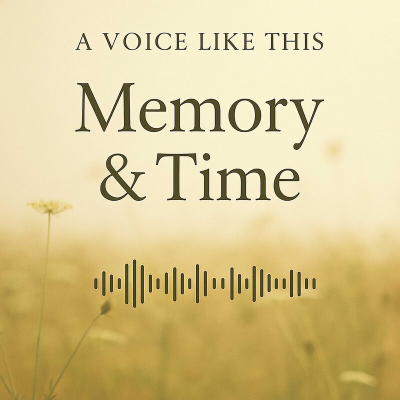 Artwork for podcast A Voice Like This