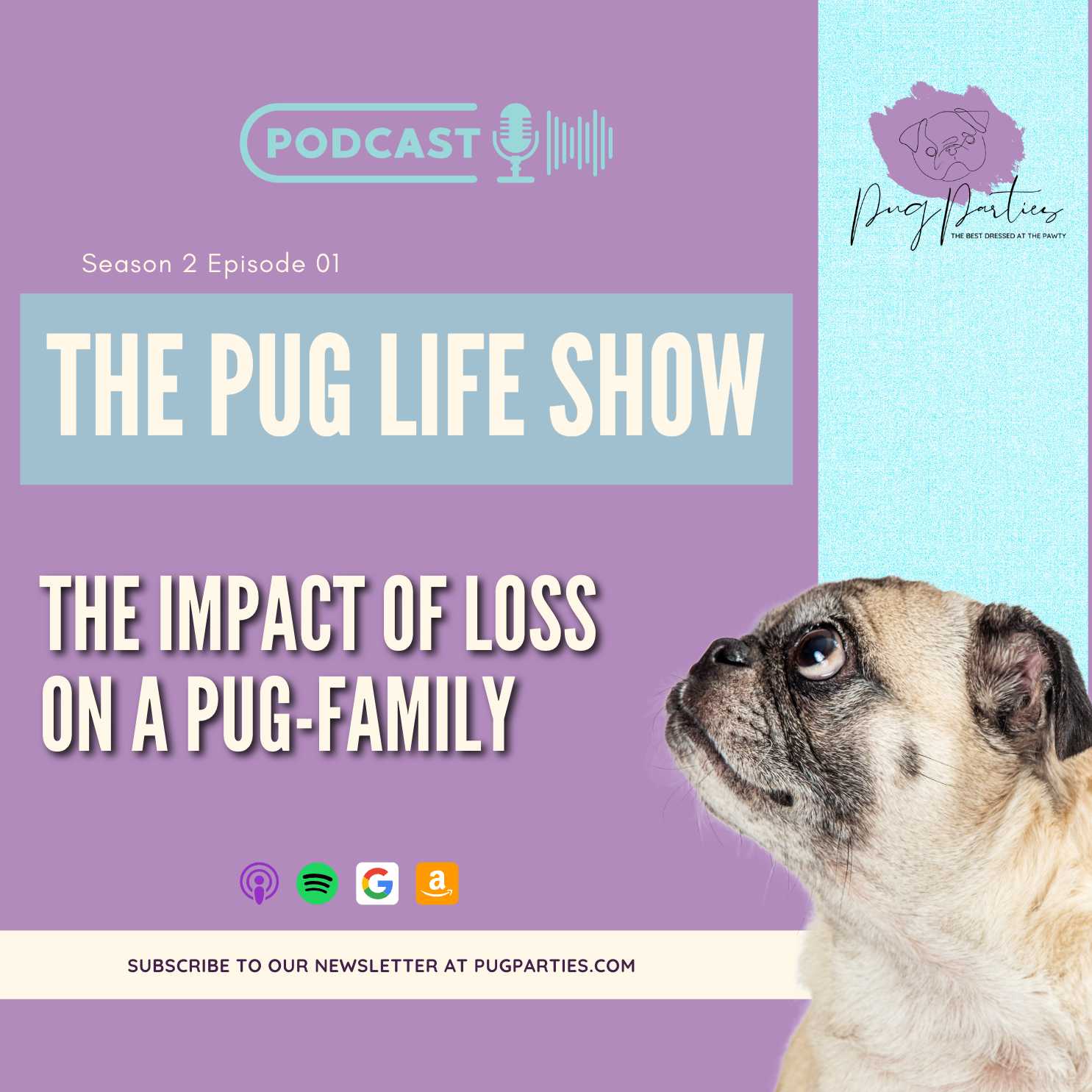 S2 EP01: The impact of loss on a Pug-family