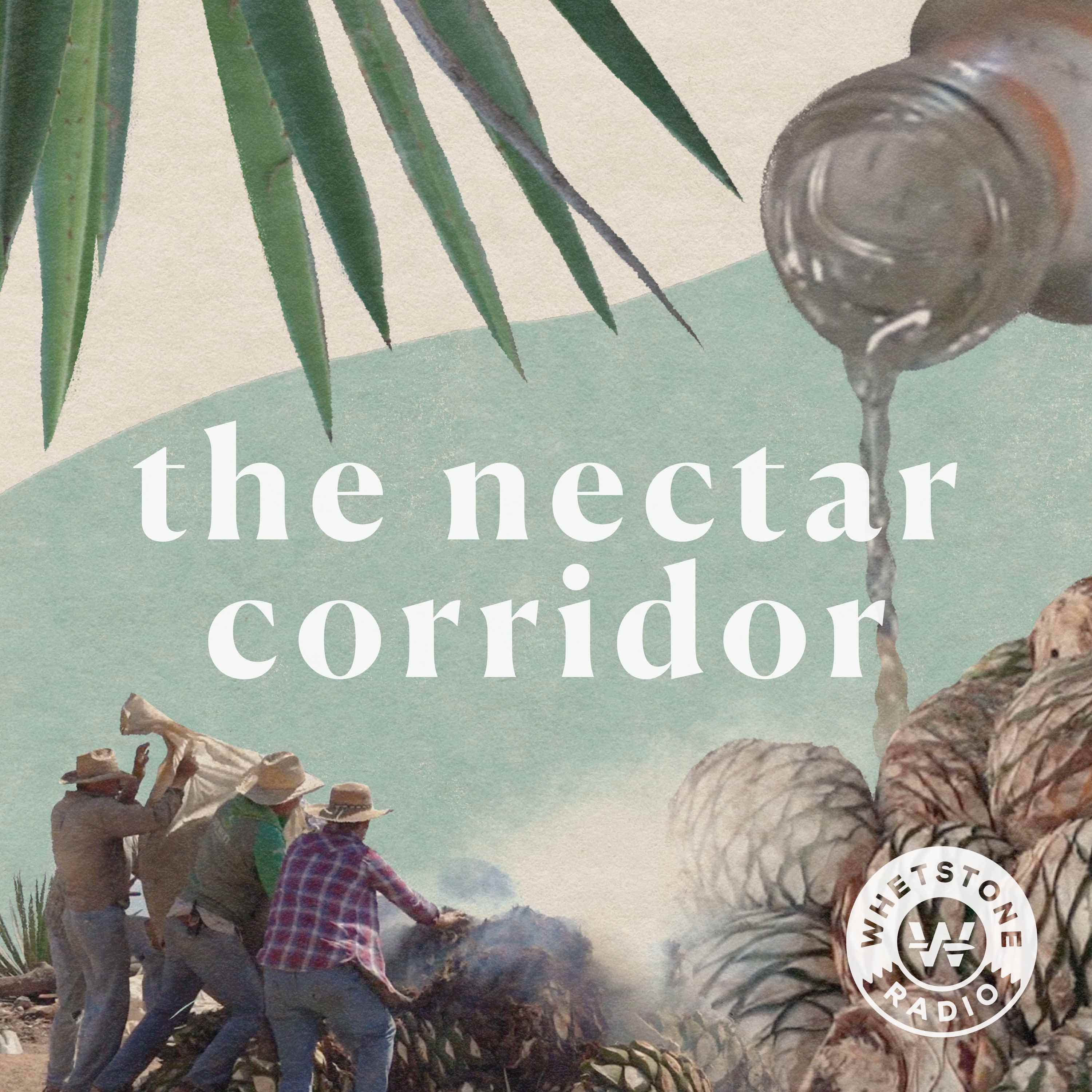 Show artwork for The Nectar Corridor