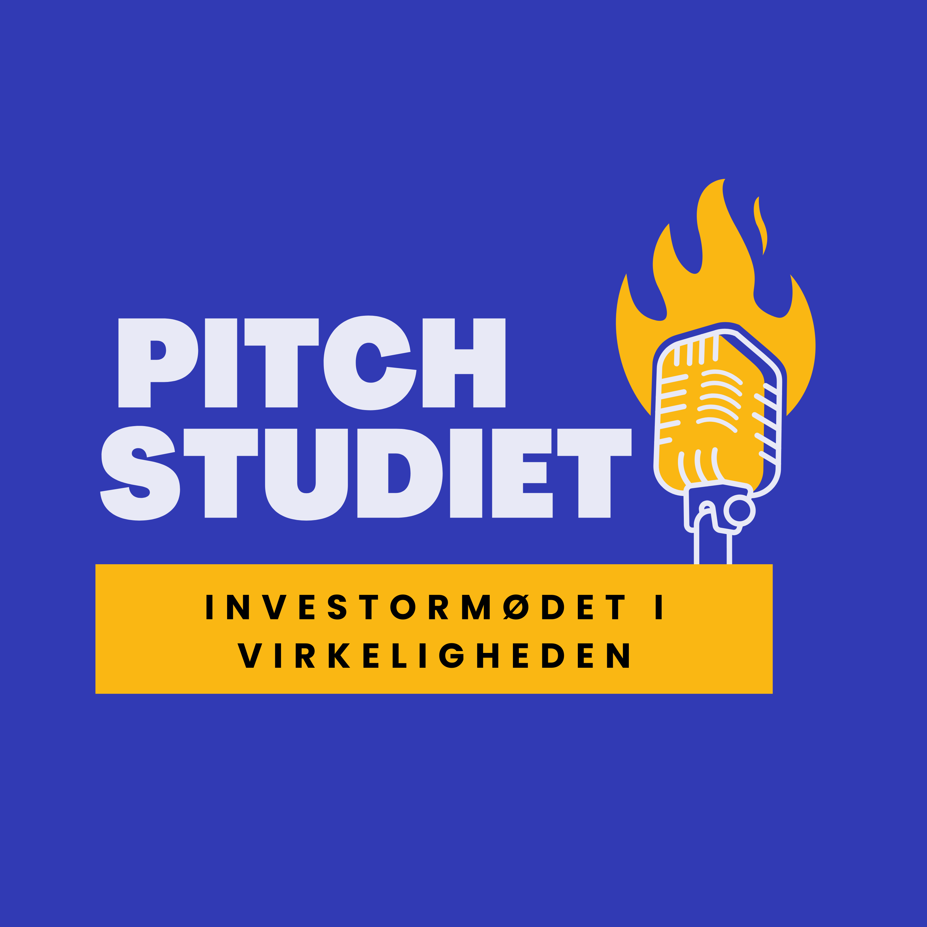 Pitch Studiet af Esben Brandborg Østerby