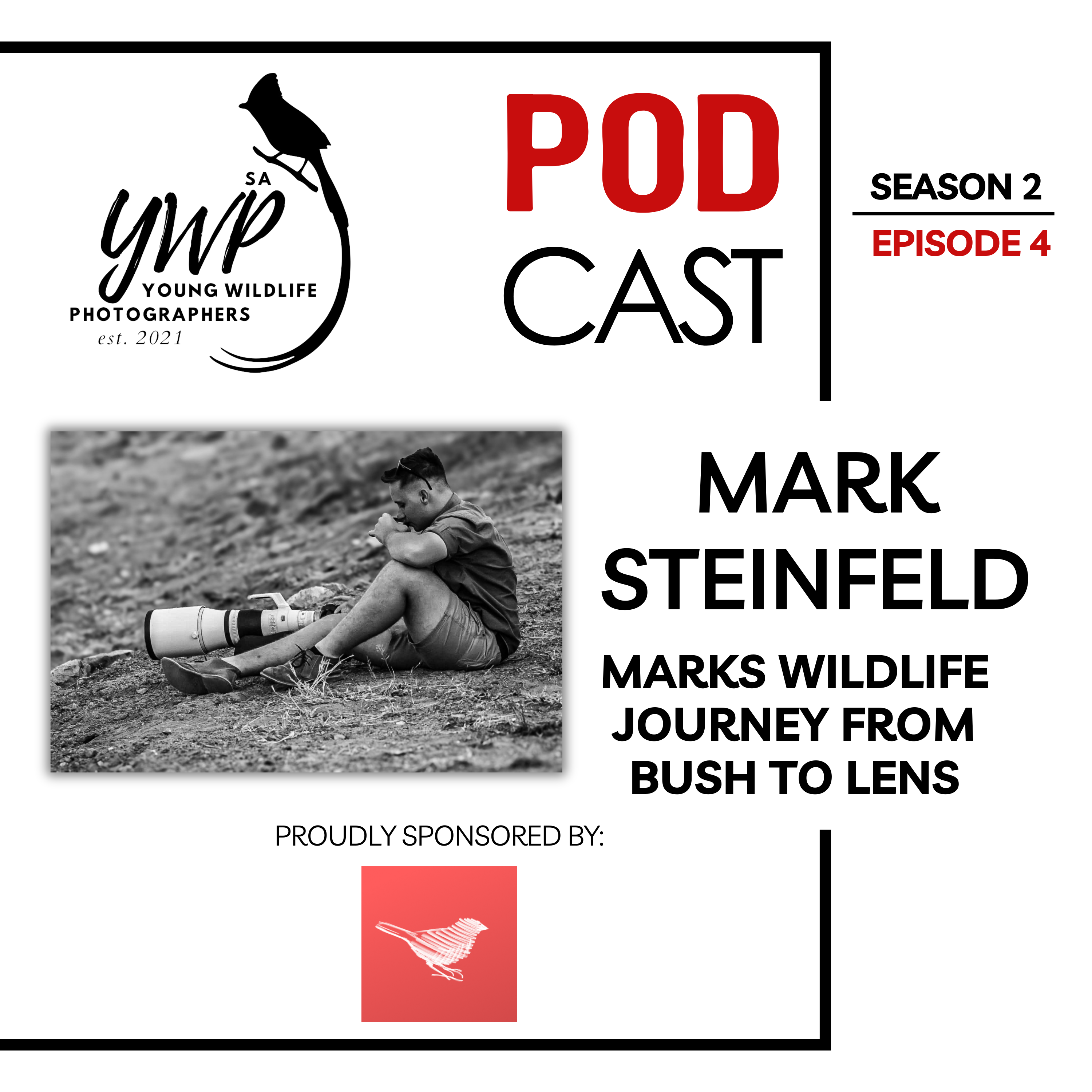 YWP Podcast Season 3 Episode 4 - Mark Steinfeld: Into the Wild - A journey to Becoming a Field Guide