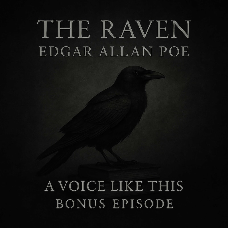 Artwork for podcast A Voice Like This