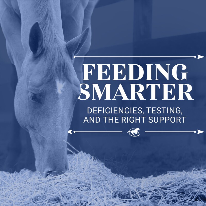 Artwork for podcast The Horse HealthCast with SmartEquine