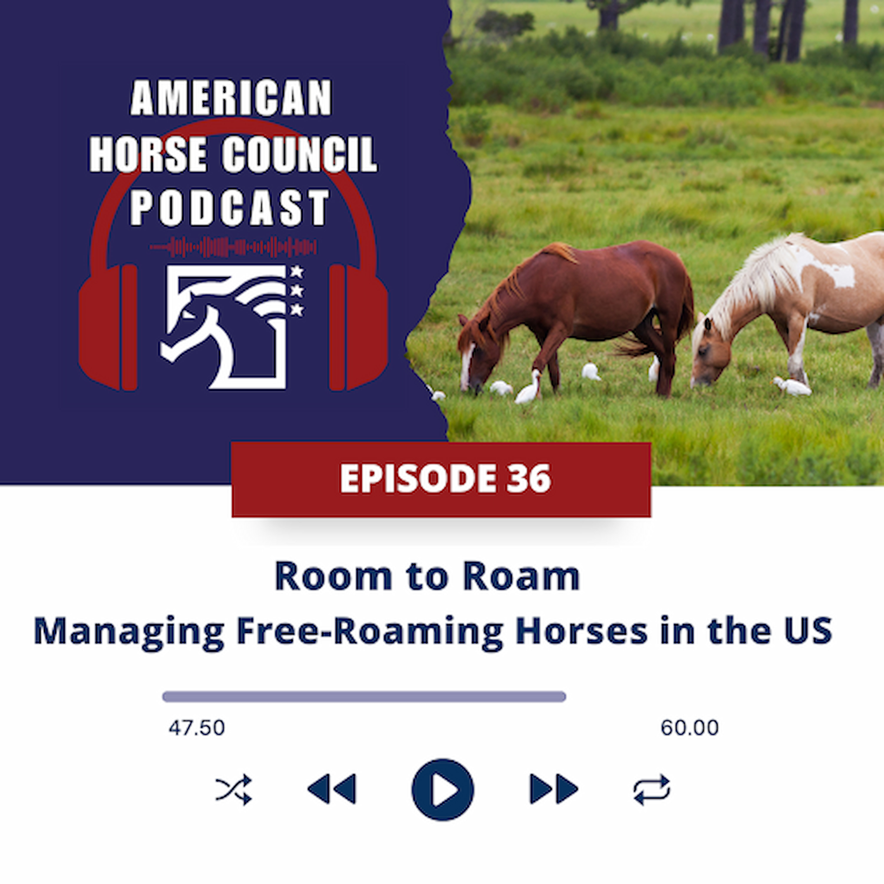 Room to Roam - Managing Free-Roaming Horses Across the US episode artwork