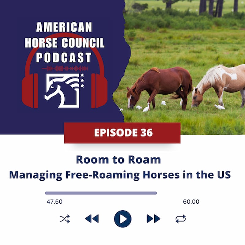 Artwork for podcast American Horse Council Podcast