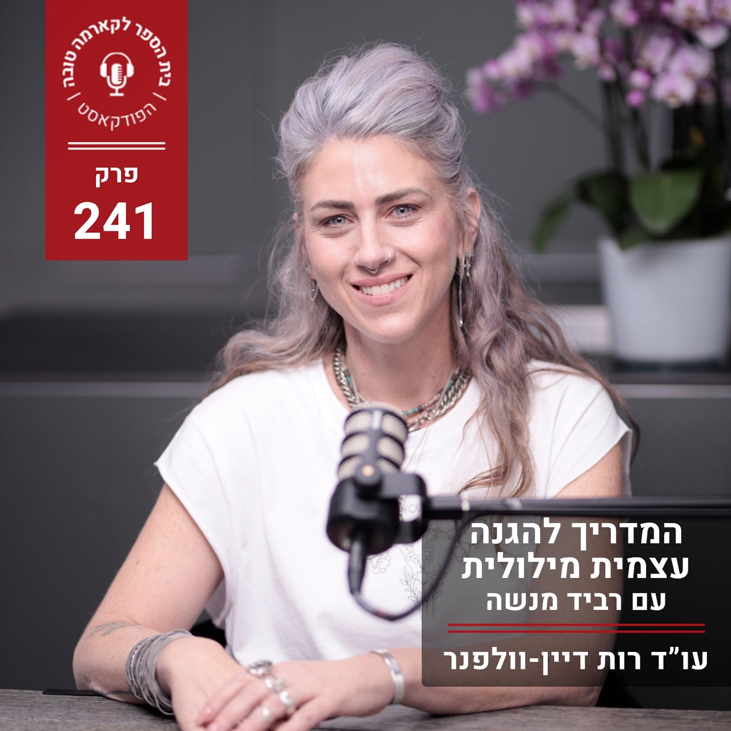 המדריך להגנה עצמית מילולית - רביד מנשה episode artwork