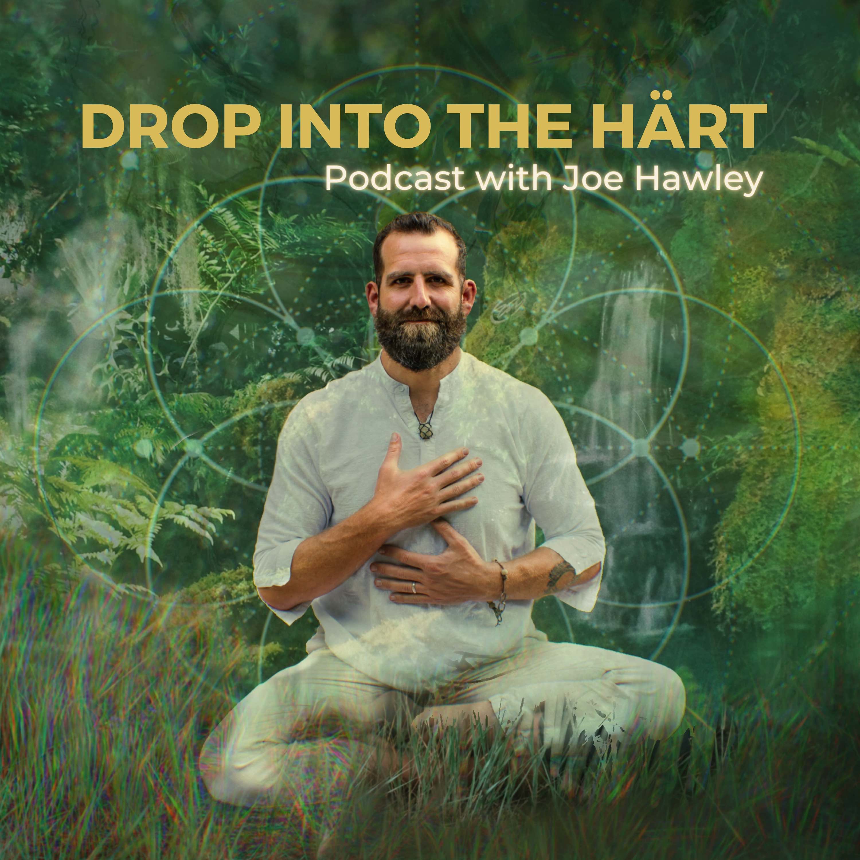 Artwork for podcast Drop Into The Härt