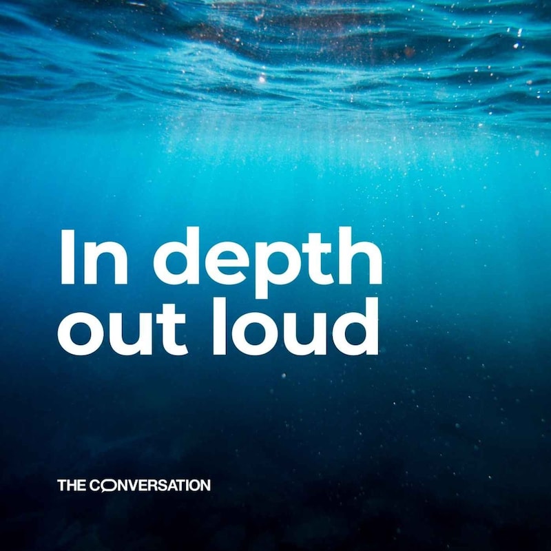 Artwork for podcast In Depth, Out Loud