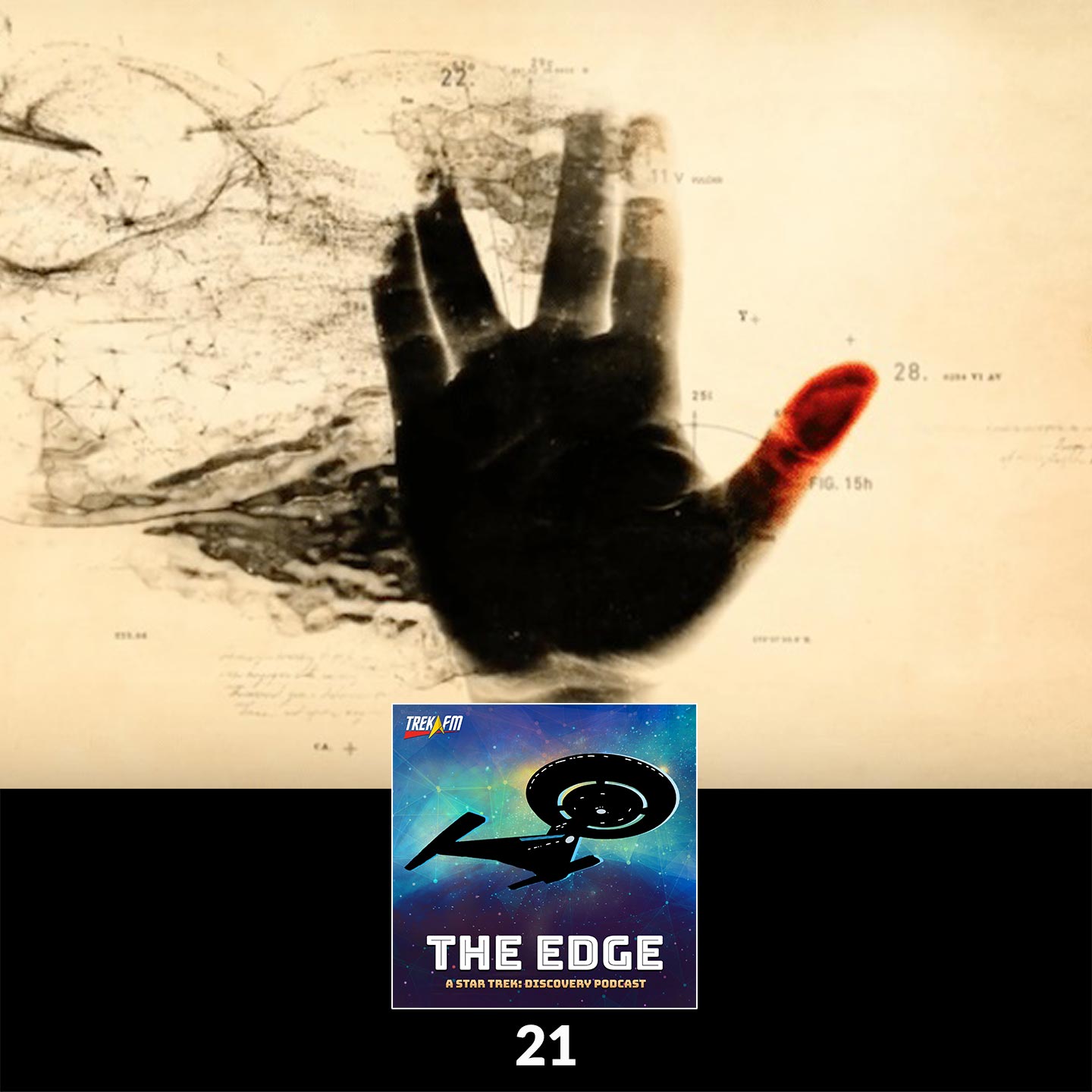The Edge: A Star Trek Discovery Podcast