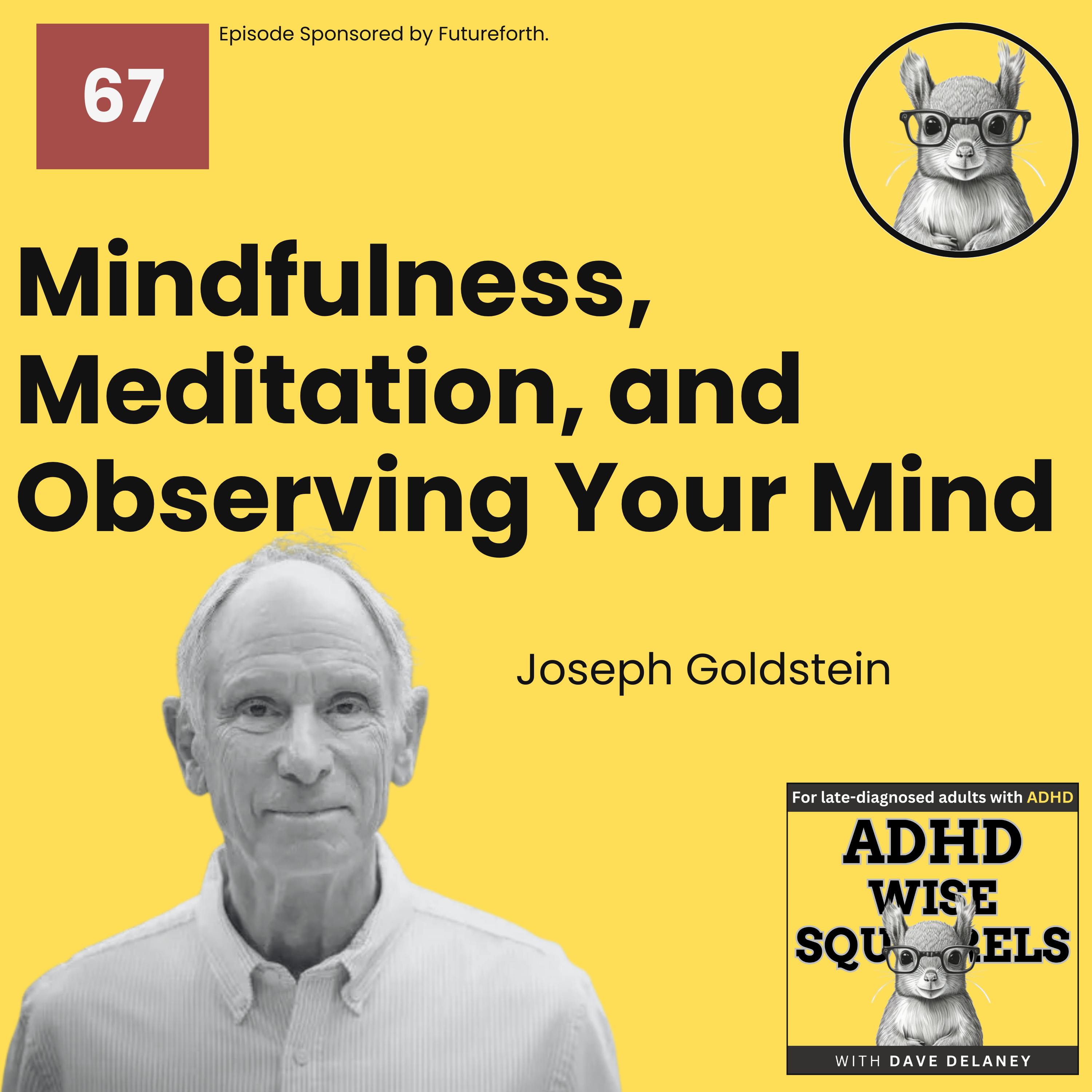 Mindfulness, Meditation, and Observing Your Mind with Joseph Goldstein. episode artwork