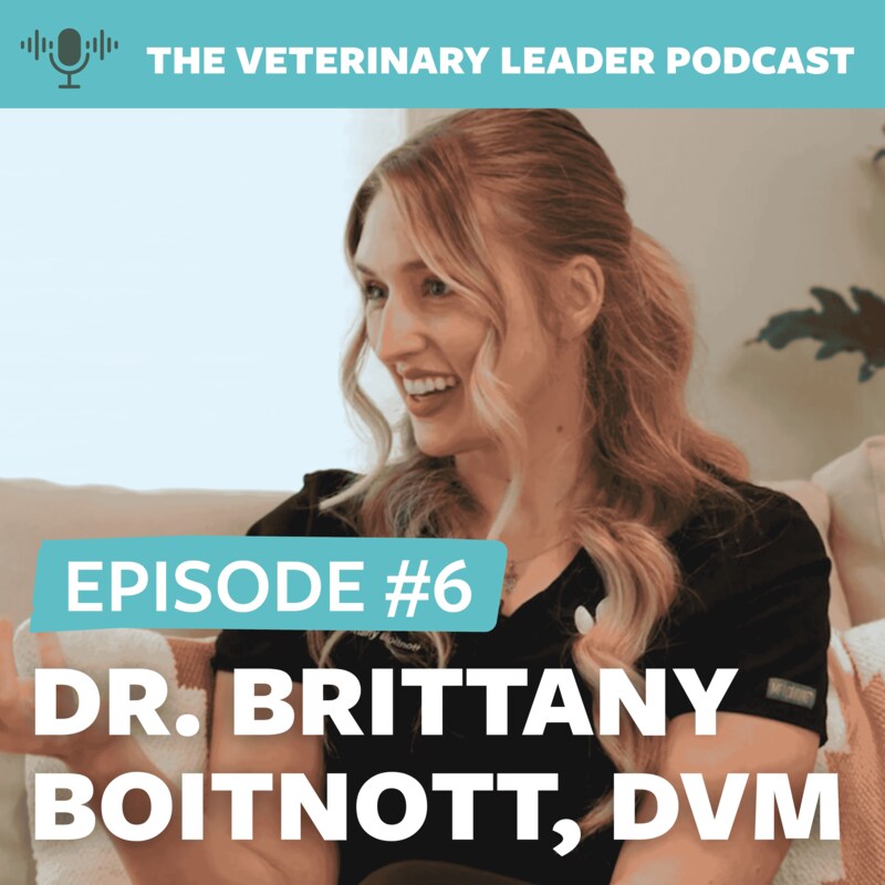 Artwork for podcast The Veterinary Leader Podcast