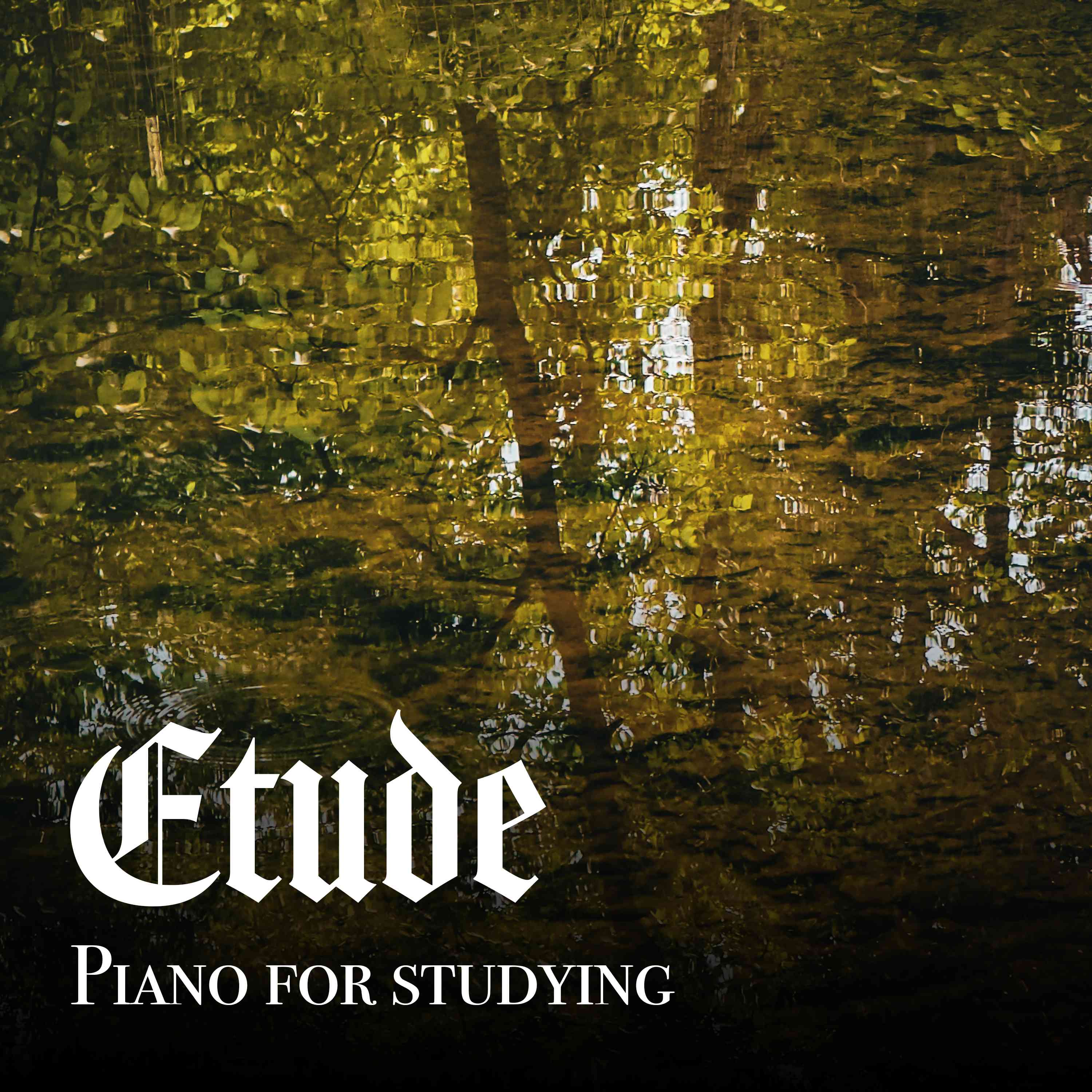 Piano Music for Studying with Stream Sounds - 8 Hours - "For Nights on End"