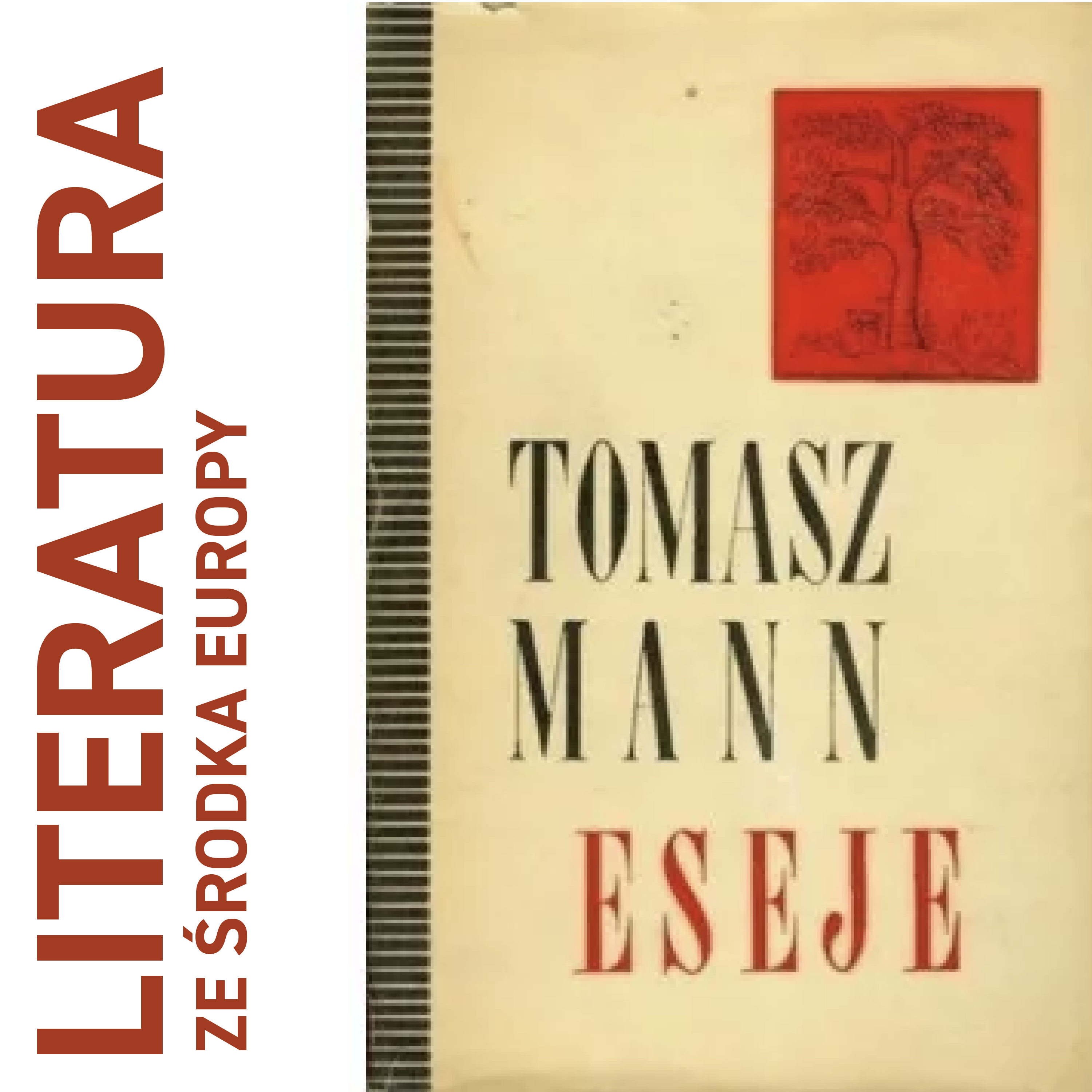 literatura ze środka Europy