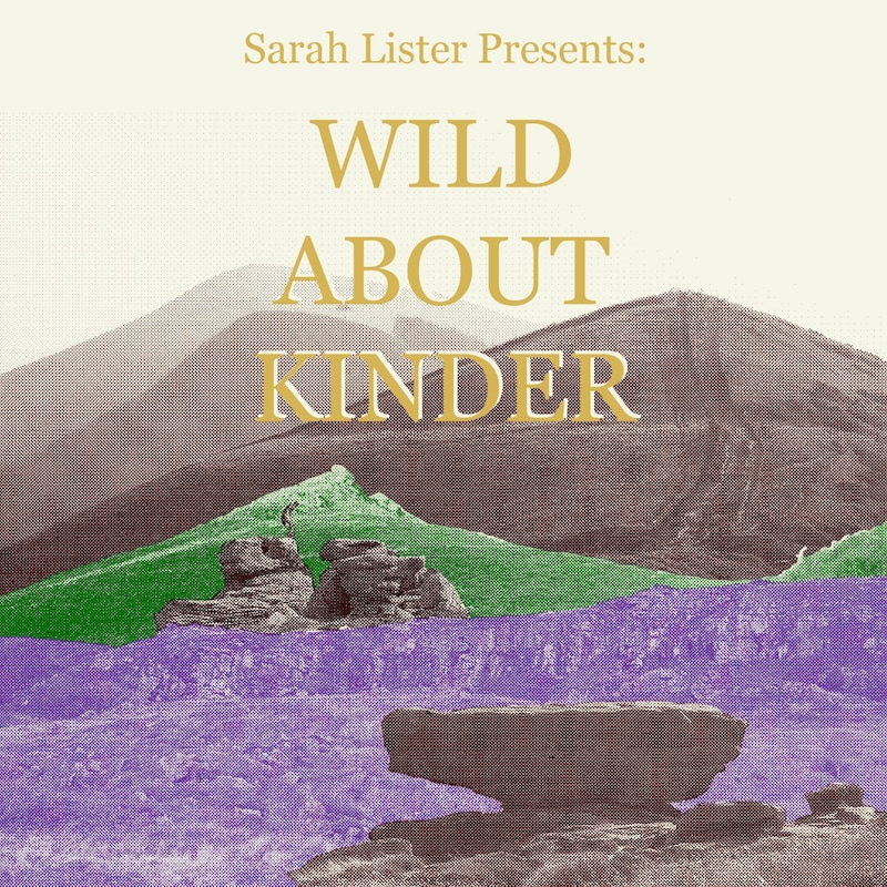 Artwork for podcast Wild About Kinder