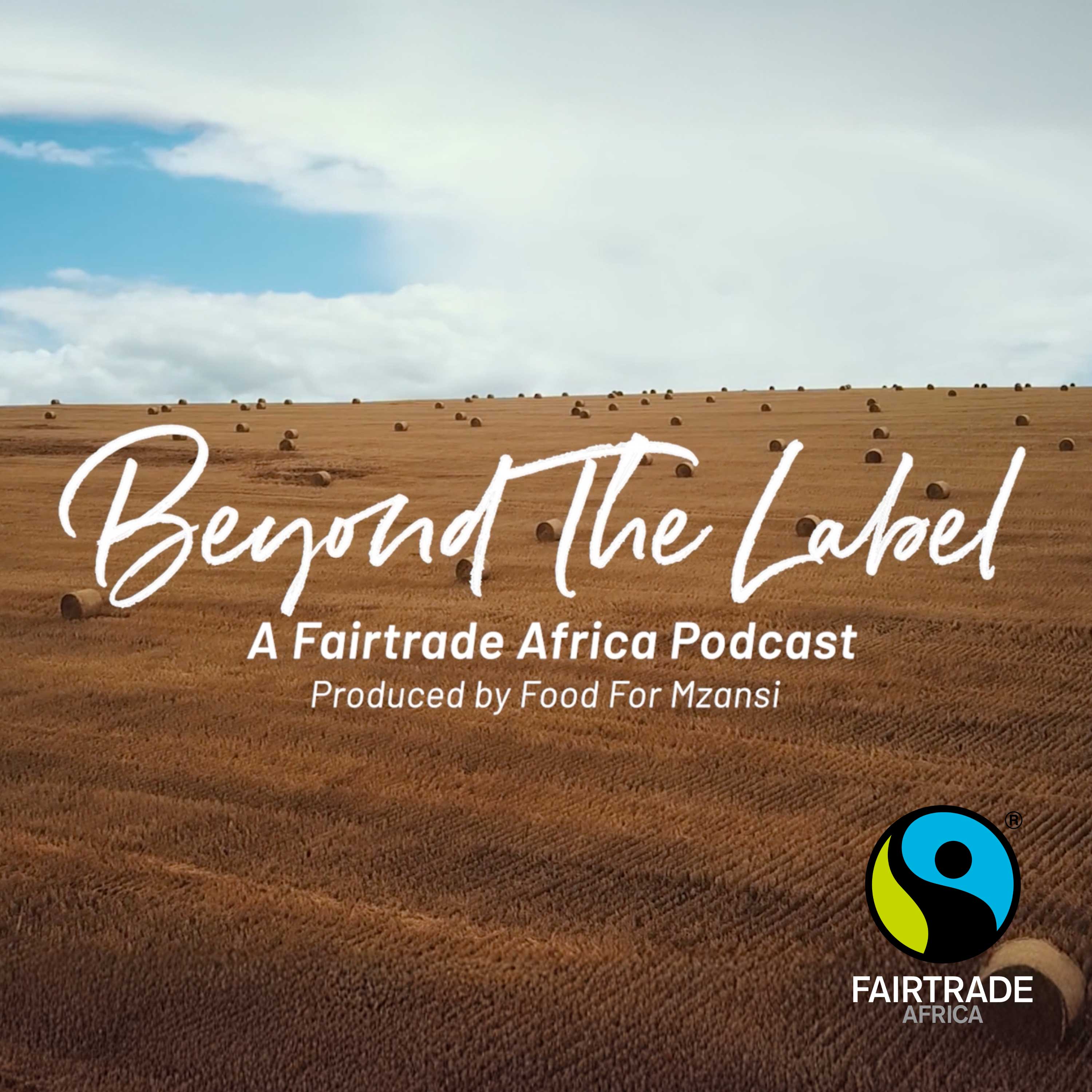 Artwork for Beyond The Label
