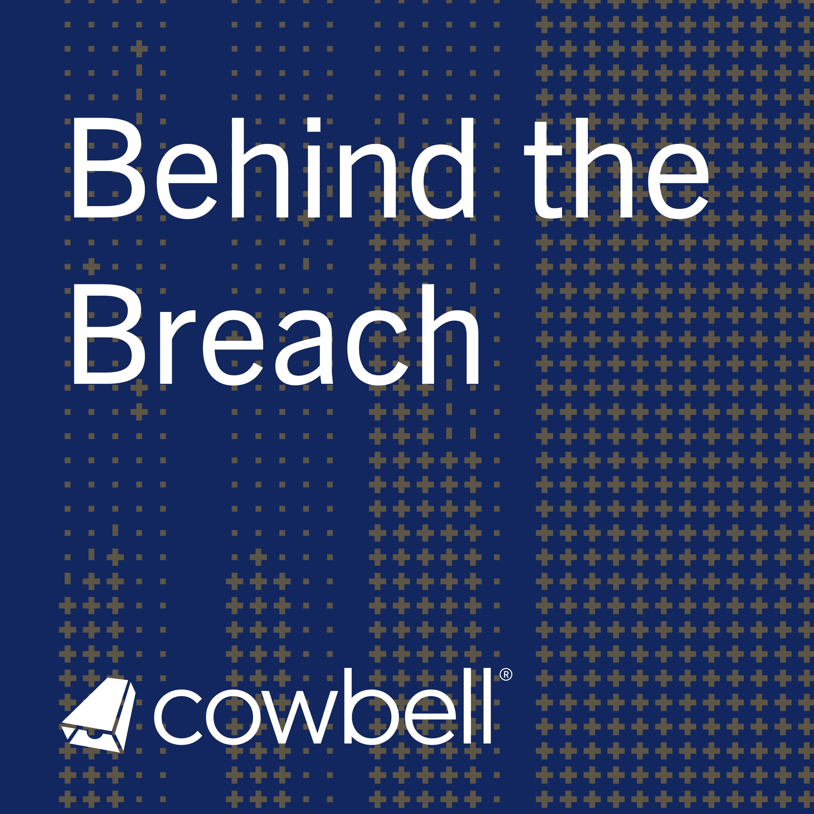 Behind the Breach