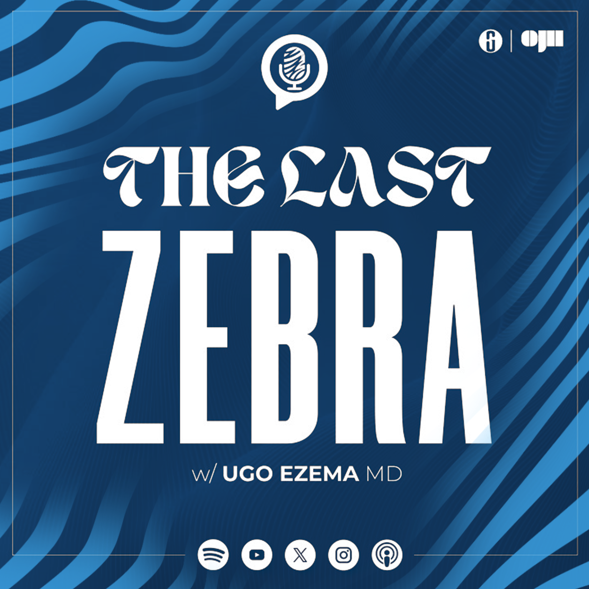 Show artwork for The Last Zebra