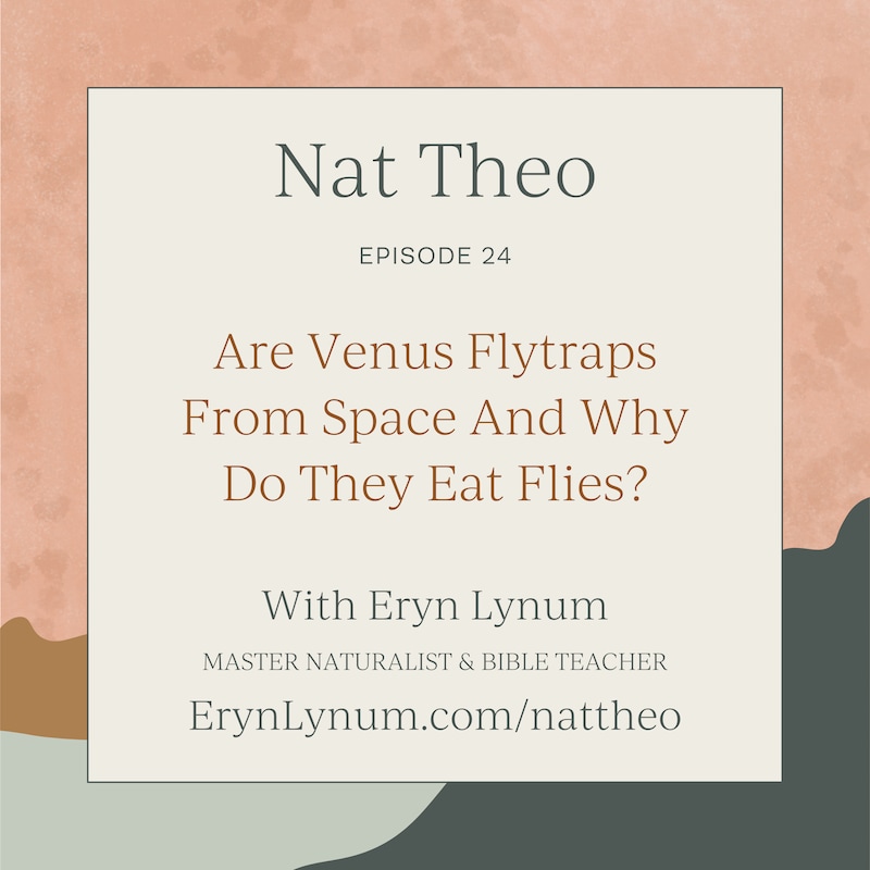 Artwork for podcast Nat Theo Nature Lessons Rooted in the Bible