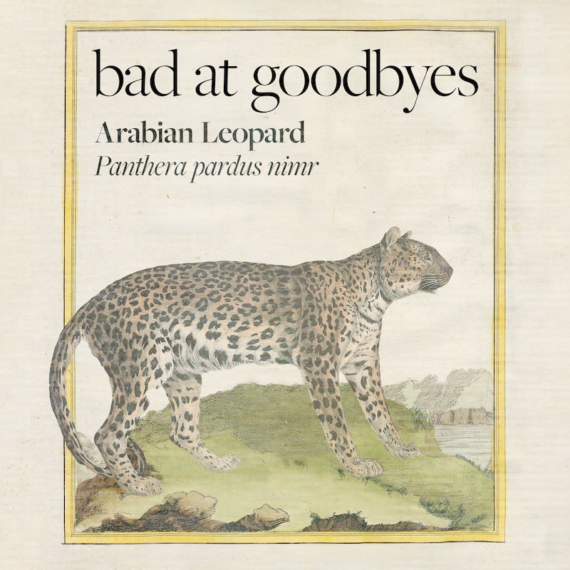 Artwork for podcast Bad at Goodbyes