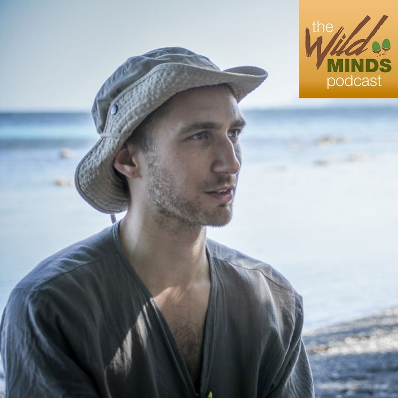 Artwork for podcast The Wild Minds Podcast