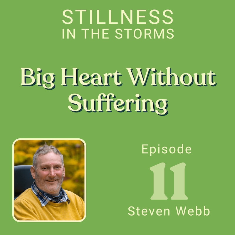 Artwork for podcast Stillness in the Storms