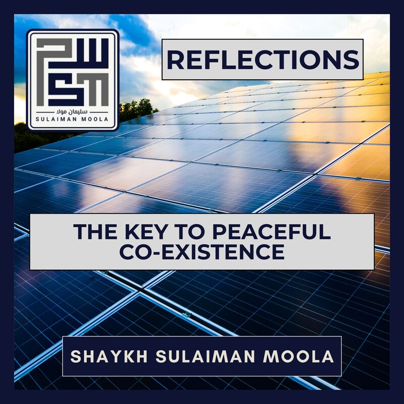 Artwork for podcast S Moola: Reflections