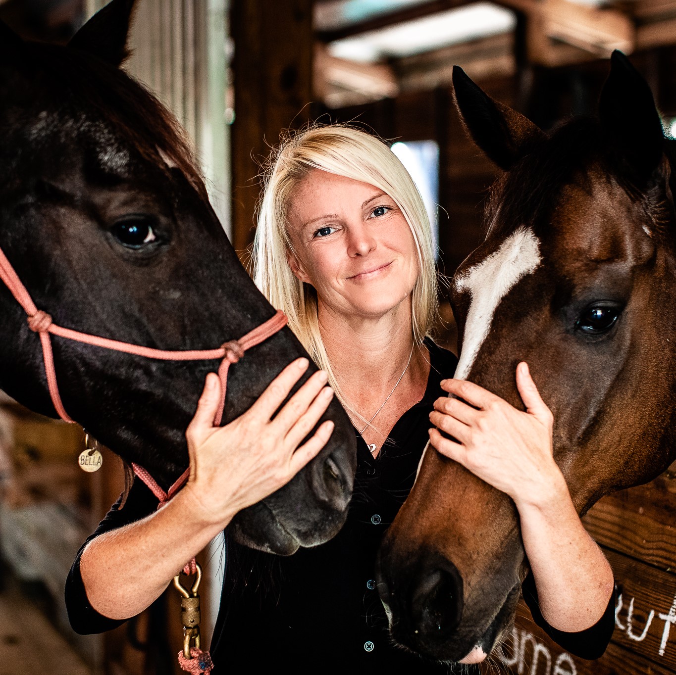 Jen Zoe Hall Horse Powered Healing