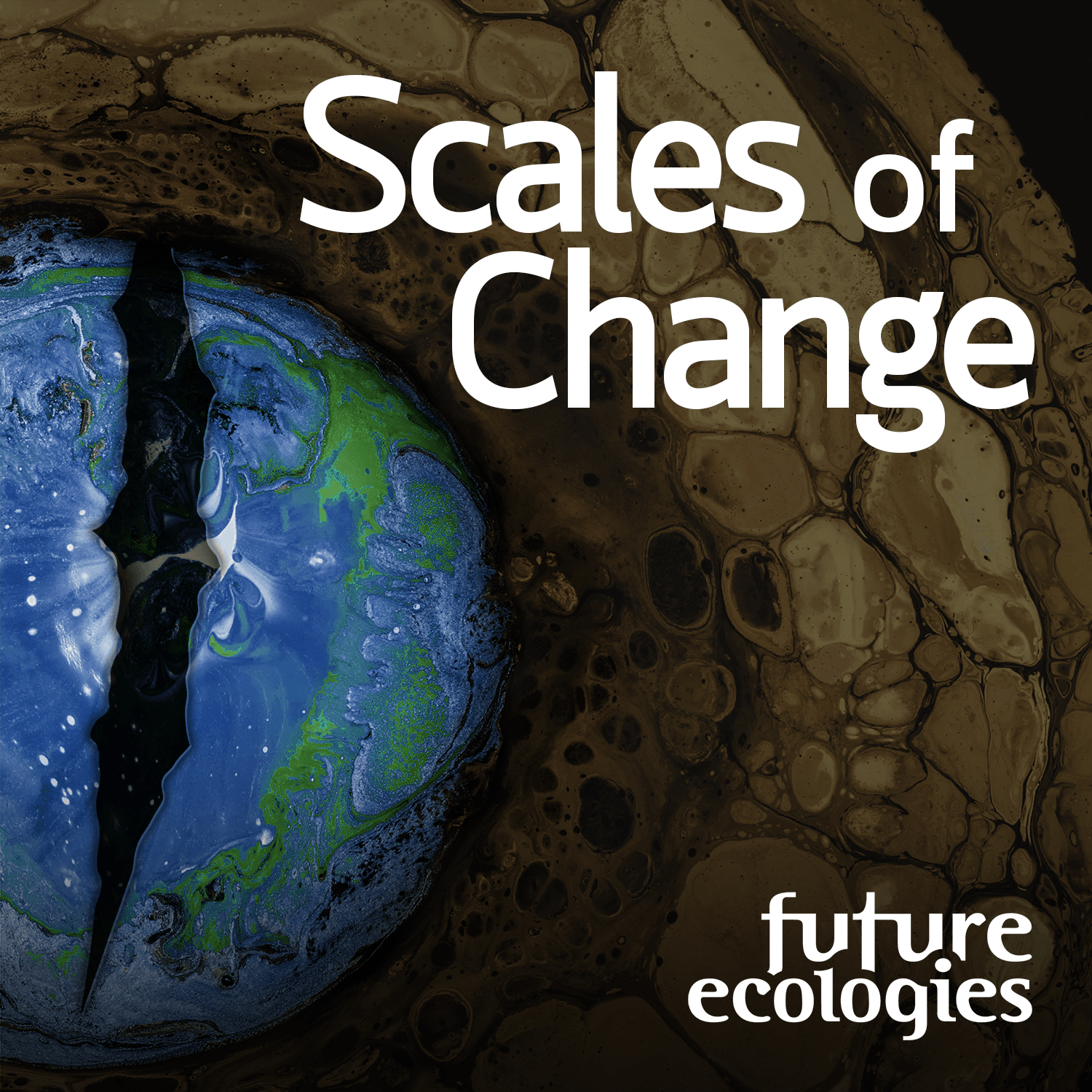 Artwork for Scales of Change