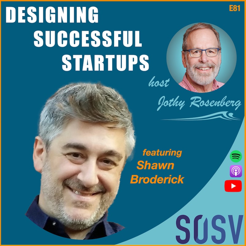 Artwork for podcast Designing Successful Startups