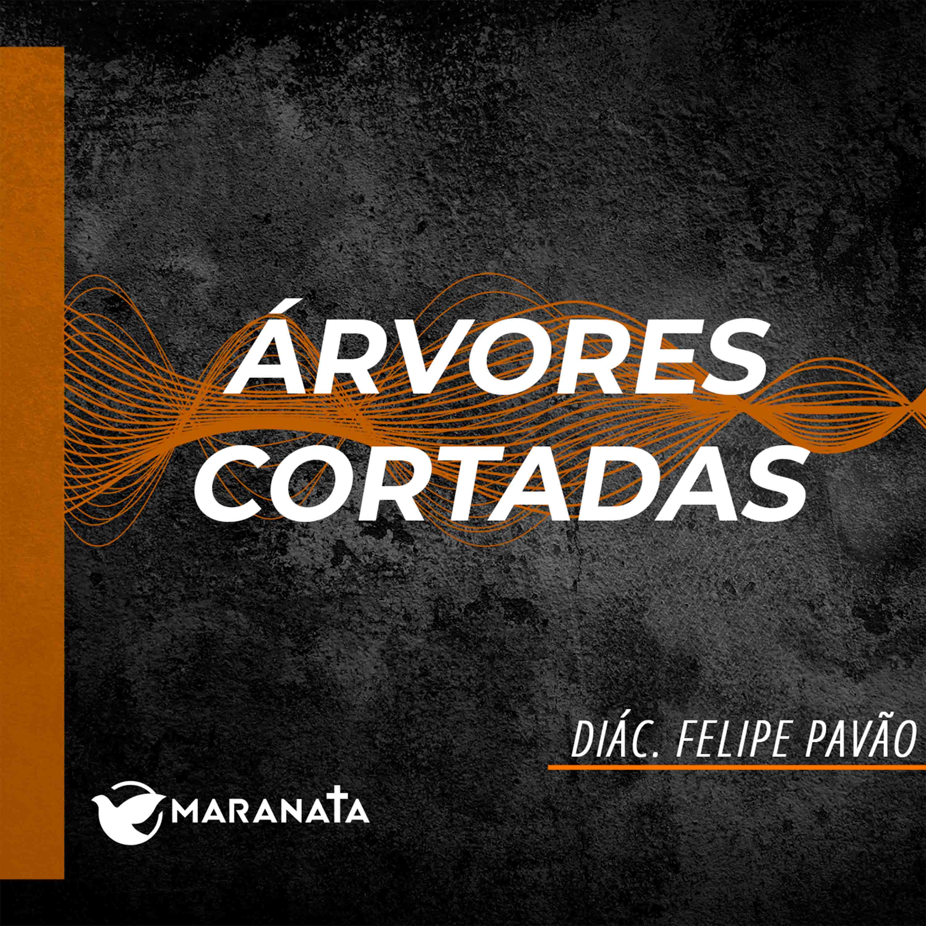 Árvores cortadas - Diác. Felipe Pavão