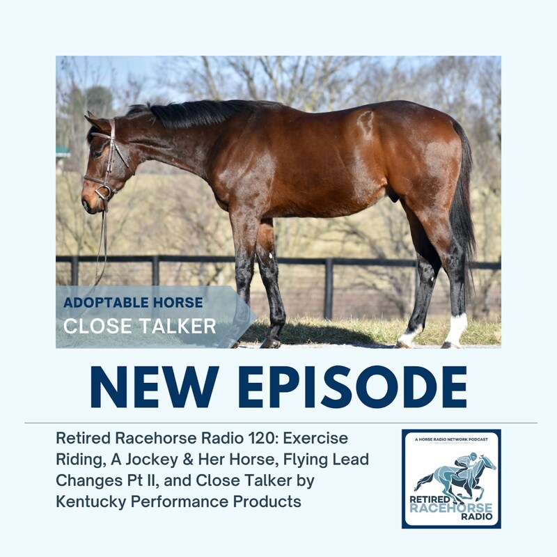 Artwork for podcast Retired Racehorse Radio