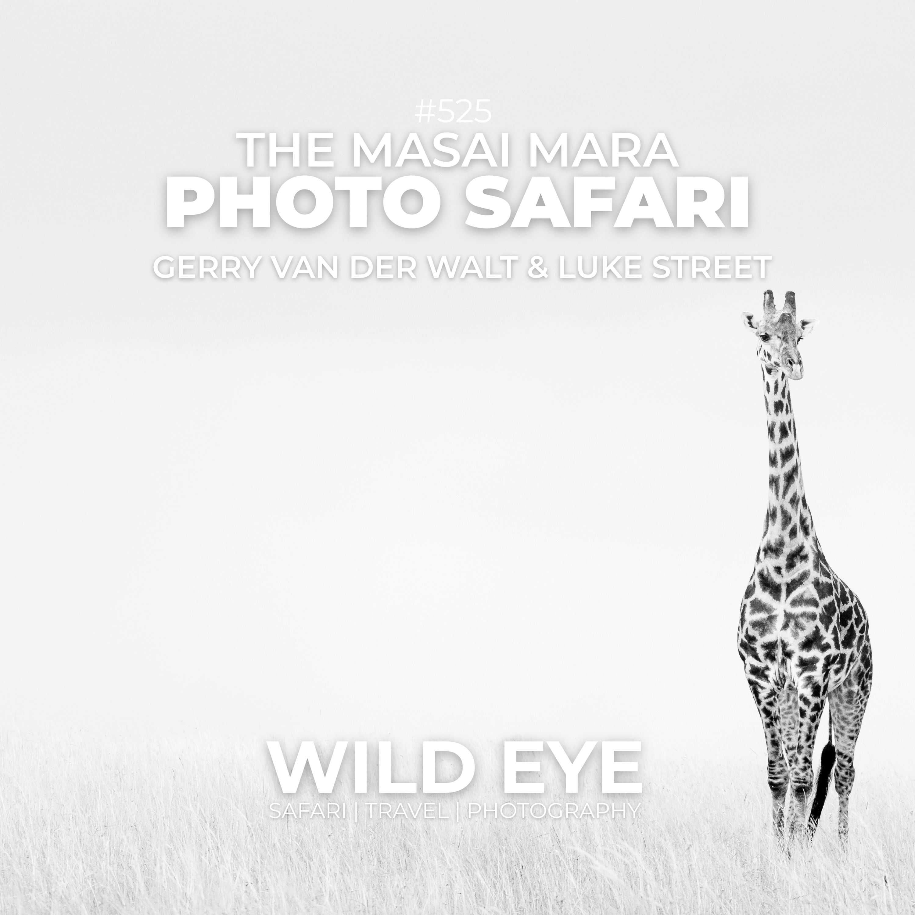 #559 - The Masai Mara Photo Safari episode artwork