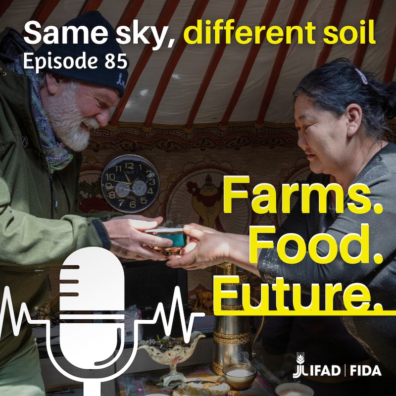 Artwork for podcast Farms. Food. Future.